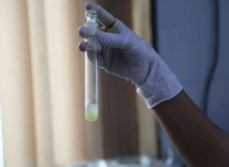 Yogleela Sulphur quality control